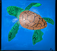 turtle placeholder, turtle, why is it a turtle, placeholder image